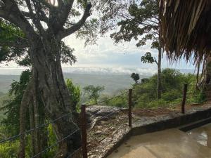 a view from the top of a hill with a tree at Ecohotel La Reserva in Piojó