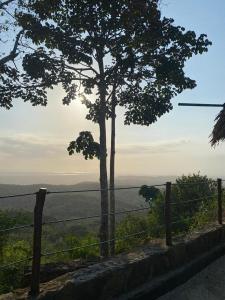 a tree on top of a hill with a fence at Ecohotel La Reserva in Piojó