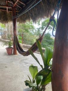 a hammock hanging from a straw hut with a plant at Ecohotel La Reserva in Piojó