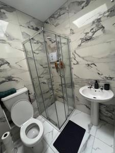a bathroom with a shower and a toilet and a sink at Top of the Town No.5 in Cootehill
