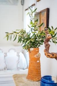 Fotografie z fotogalerie ubytování Olive Grove Cottage v destinaci Karpathos
