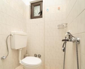 a bathroom with a toilet and a shower at Tsimiklis Apartments in Finikounta