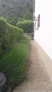 Zdjęcie z galerii obiektu Jolie Maison avec jardin w mieście Villefranche-de-Conflent