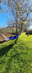 Priroda u blizini of the country house