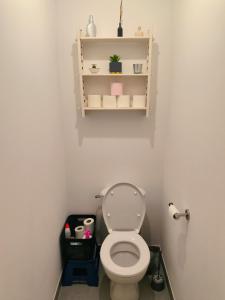 a small bathroom with a toilet and a shelf at Superbe appartement avec jardin in Courrejean