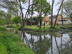 a river with trees and a house in the background at Roulotte d'Aquitaine in Saint-Sulpice-de-Faleyrens