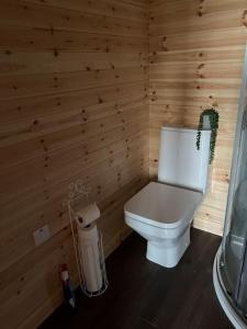 a bathroom with a white toilet in a wooden wall at A Unique & Tranquil Smallholding Retreat in Redruth