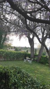 a table and chairs sitting in the grass under two trees at Casa Rosanna in Peschiera del Garda