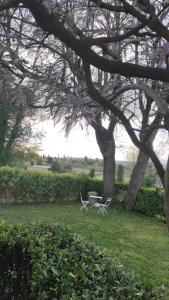 un tavolo e sedie seduti sull'erba sotto due alberi di Casa Rosanna a Peschiera del Garda