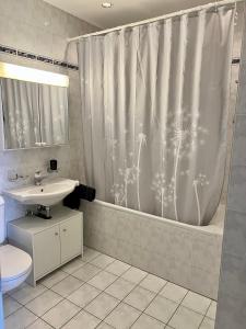 La salle de bains est pourvue d'un rideau de douche, d'un lavabo et de toilettes. dans l'établissement Wohnung mit Aussicht auf Lago Maggiore & Pool, à Contra