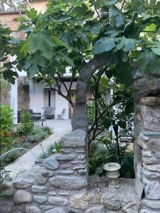 Vonkajšia záhrada v ubytovaní Sculptors Retreat + 6 fotografií