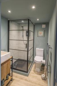 a bathroom with a shower and a toilet at Park Lane Studio, Shouldham in Shouldham