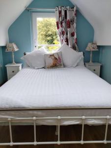 a bed in a blue room with a window at The Garden Apartment in Enniskillen