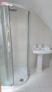 uma casa de banho com uma cabina de duche em vidro e um lavatório. em The Garden Apartment em Enniskillen