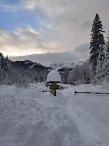 Vila Devana during the winter