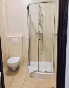 a bathroom with a shower and a toilet at Villa Tilia in Polanica-Zdrój +46 photos