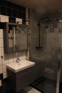 La salle de bains est pourvue d'un lavabo et d'une douche. dans l'établissement FeWo-Am-Nationalpark-Eifel, à Nideggen