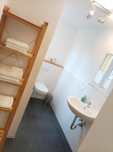 ein Bad mit einem Waschbecken und einem WC in der Unterkunft Stavenhof Röbel in Röbel