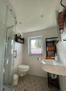 a bathroom with a toilet and a sink and a shower at Ferienwohnung Levin in Dargun