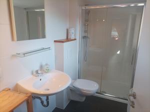 a bathroom with a shower and a sink and a toilet at Stavenhof Röbel in Röbel