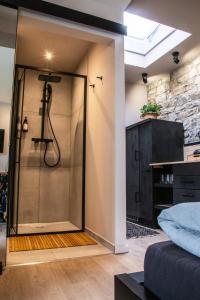 a bathroom with a shower with a glass door at Studio 20for2 Nähe Köln in Bergisch Gladbach