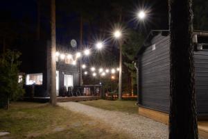 una casa iluminada por la noche con luces de la calle en Reiu Holiday Home en Reiu