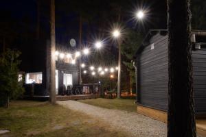a house lit up at night with street lights at Reiu Holiday Home in Reiu