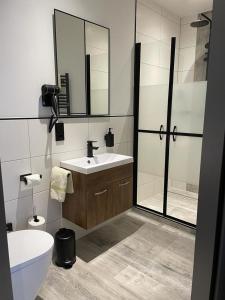 a bathroom with a sink and a toilet and a mirror at Meerzeit Strandhotel in Neuharlingersiel