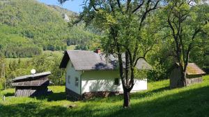 a small house in the middle of a field at Haus SaBo 