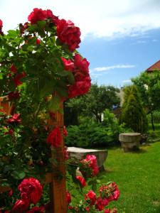 Vonkajšia záhrada v ubytovaní Pensjonat B&B Nad Rudawą