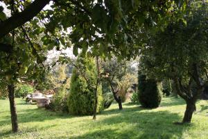 Vonkajšia záhrada v ubytovaní Pensjonat B&B Nad Rudawą