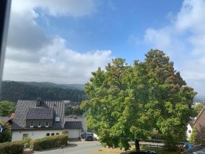 a tree in the middle of a street at Schöne Wohnung in Arnsberg mit tollem Ausblick in Arnsberg
