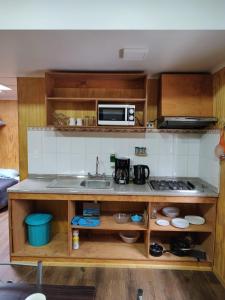 cocina con fregadero y microondas en Departamento equipado Luisa en Valdivia