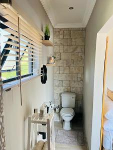 a small bathroom with a toilet and a window at Bird Nest Lodge in Durban