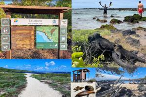 un collage de fotos de la playa y el océano en Tropical Paradise, Galápagos, en Puerto Baquerizo Moreno