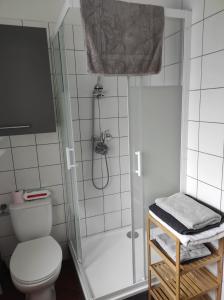 uma casa de banho branca com um chuveiro e um WC. em residence julius aéroport tillé classé 3 étoiles em Tillé