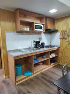 cocina con fregadero y microondas en Departamento equipado Luisa, en Valdivia