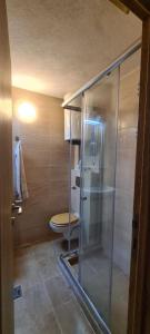uma casa de banho com um WC e uma cabina de duche em vidro. em Lovely studio apartment on Montenegro Beach Side em Perazića Do
