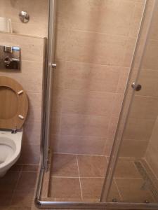 uma cabina de duche na casa de banho com WC em Lovely studio apartment on Montenegro Beach Side em Perazića Do