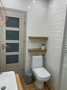 a bathroom with a toilet and a sink at Zabielne 9 in Biała Piska