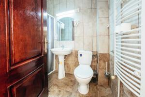 a bathroom with a toilet and a sink at Hotel Simeria in Gura Humorului