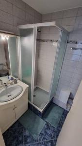 łazienka z prysznicem i umywalką w obiekcie Traumhaftes Studio in Top Lage! w mieście Saint-Louis