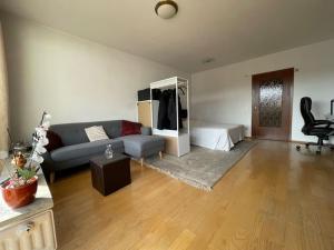 ein Wohnzimmer mit Sofa und Bett in der Unterkunft Relax Center Suite in Essen
