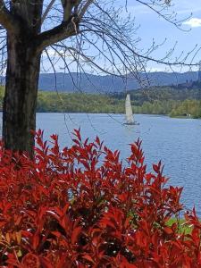 Gallery image of SantaBarbara in Meleto