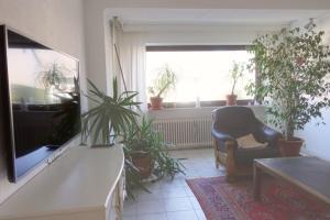 ein Wohnzimmer mit einem Stuhl und Topfpflanzen in der Unterkunft Ferienhaus La Meu in Trassem