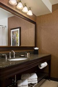 a bathroom with a sink and a large mirror at Sheraton Springfield Monarch Place Hotel in Springfield