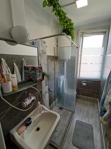 uma casa de banho com um lavatório e um chuveiro em Apartman Natalija em Kuršumlija