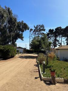 un camino de tierra junto a una casa con árboles en American Hotel, en Los Vilos