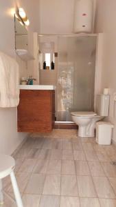 a bathroom with a toilet and a sink and a shower at Christina's Stone House Apartment in Hydra +37 photos
