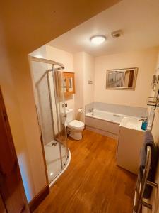 a bathroom with a shower and a toilet and a sink at Macallen in Nairn